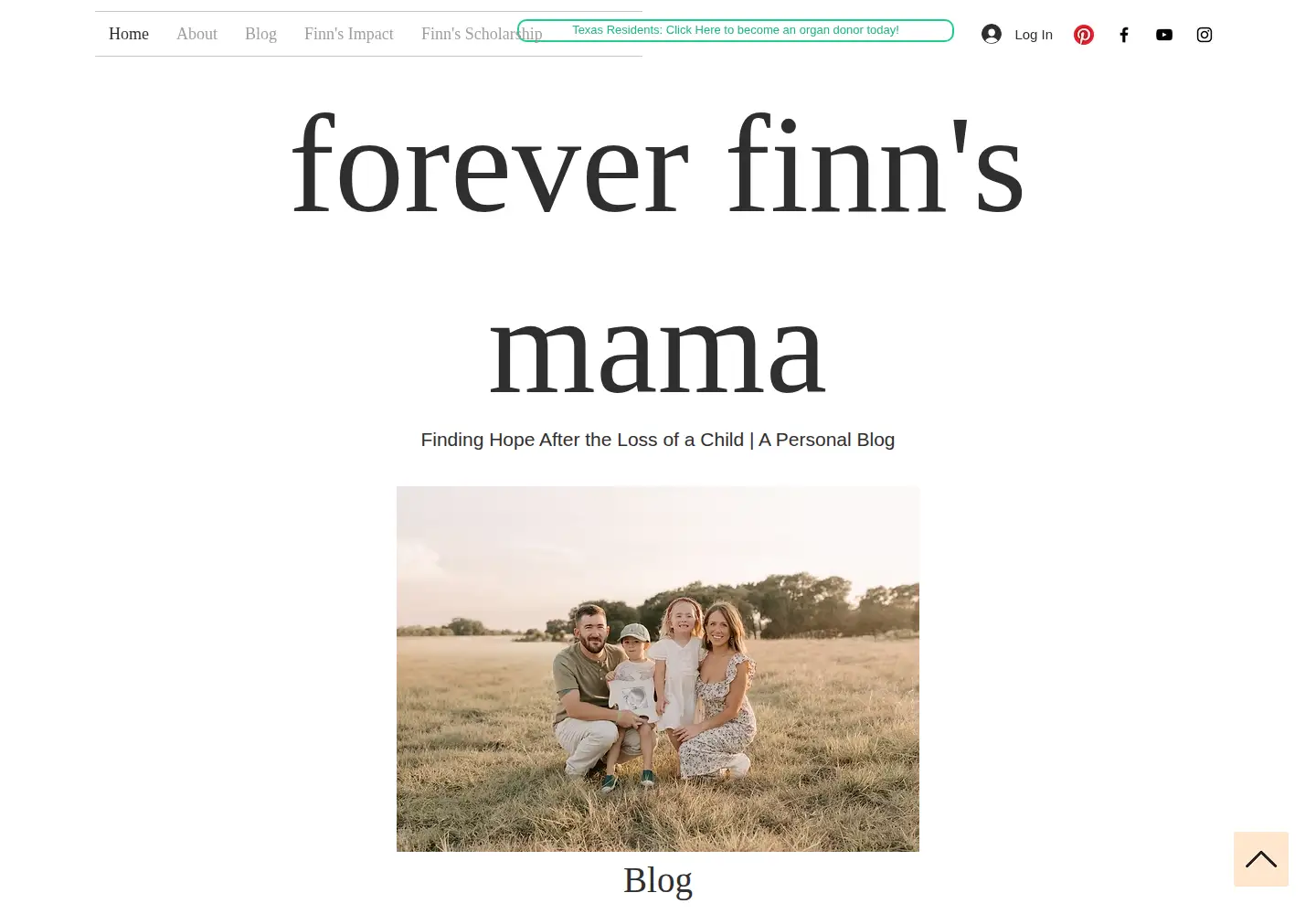 Screenshot of finnthehero.com