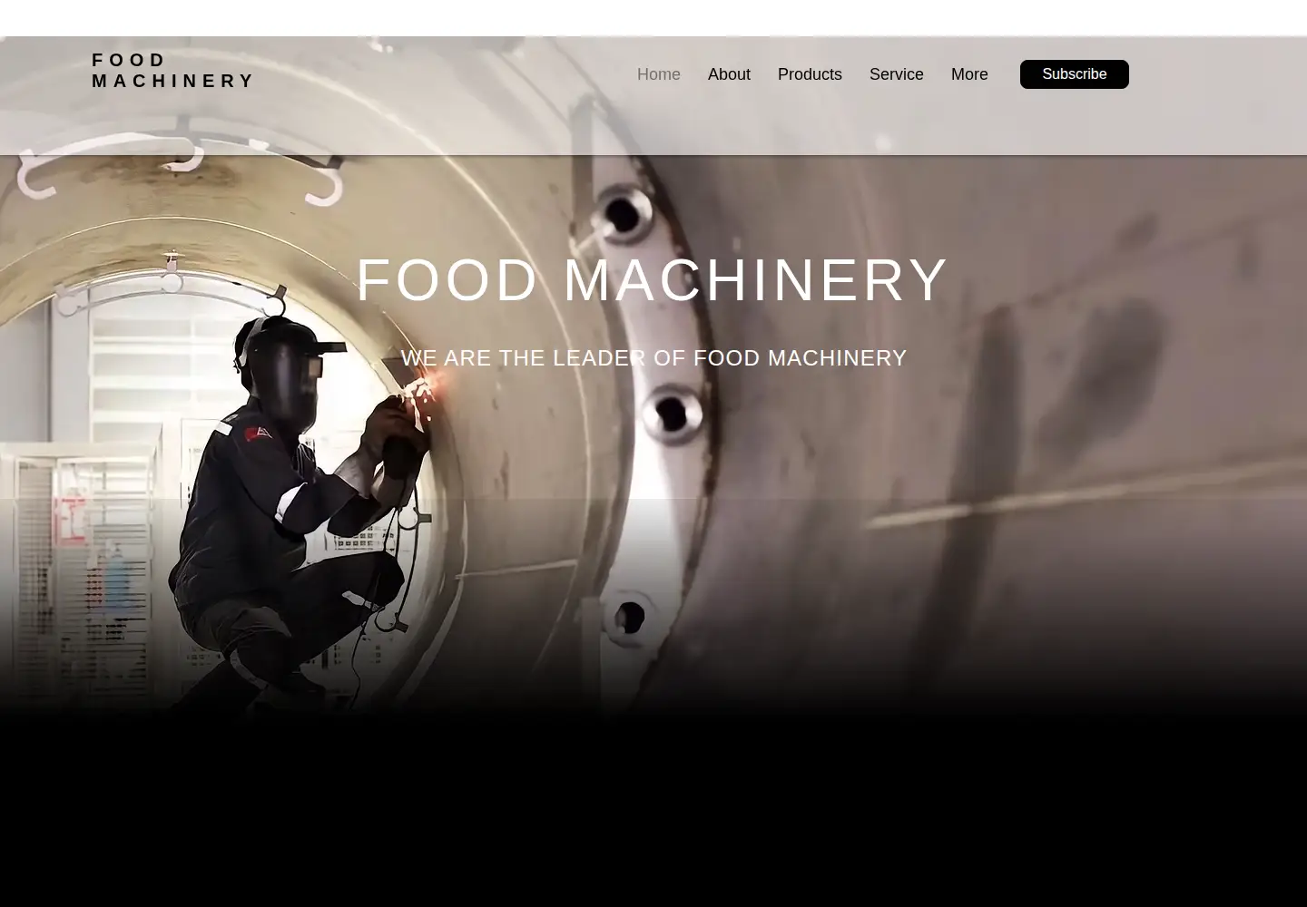Captured homepage of foodmachinerys.com in the current scan