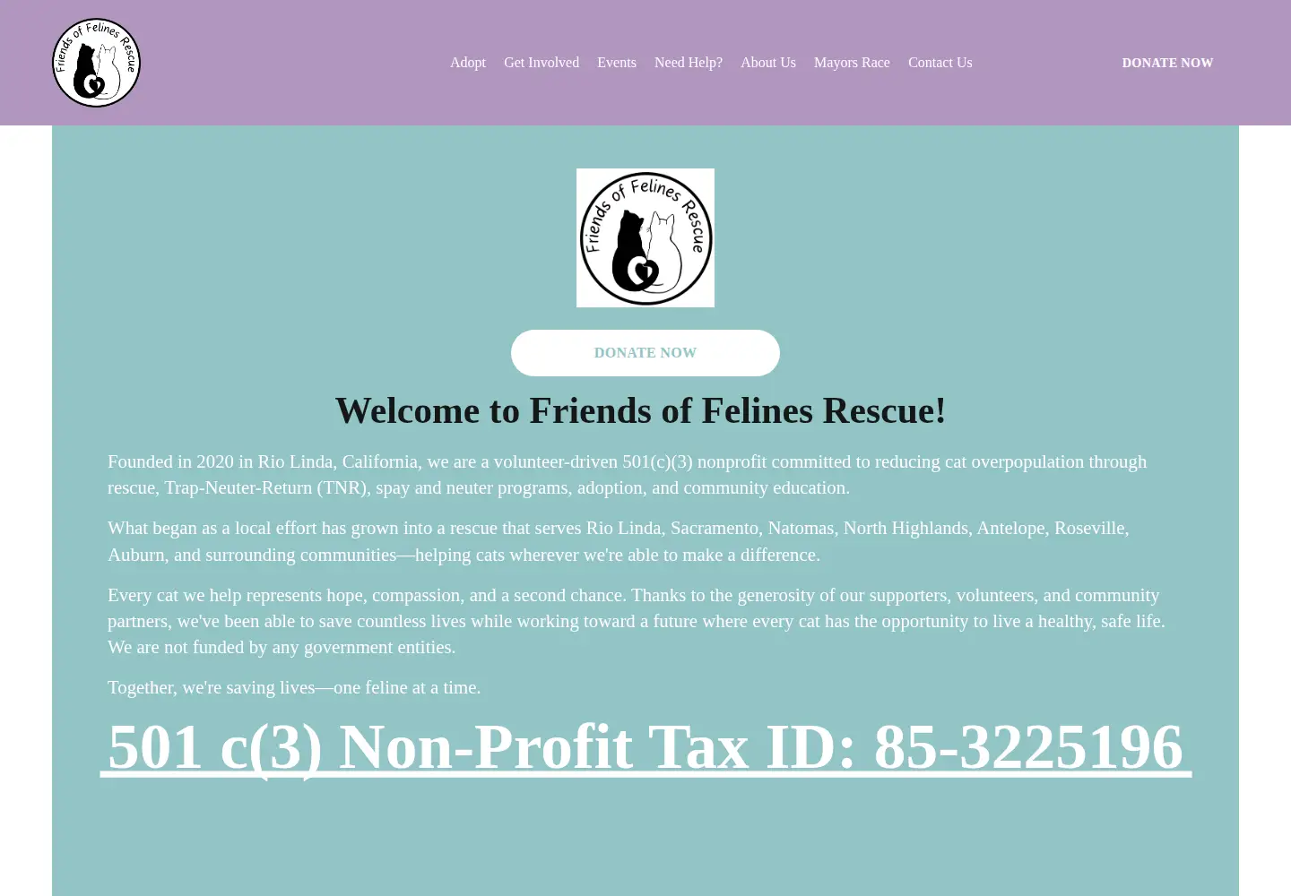 Screenshot of friendsoffelinesrescue.com