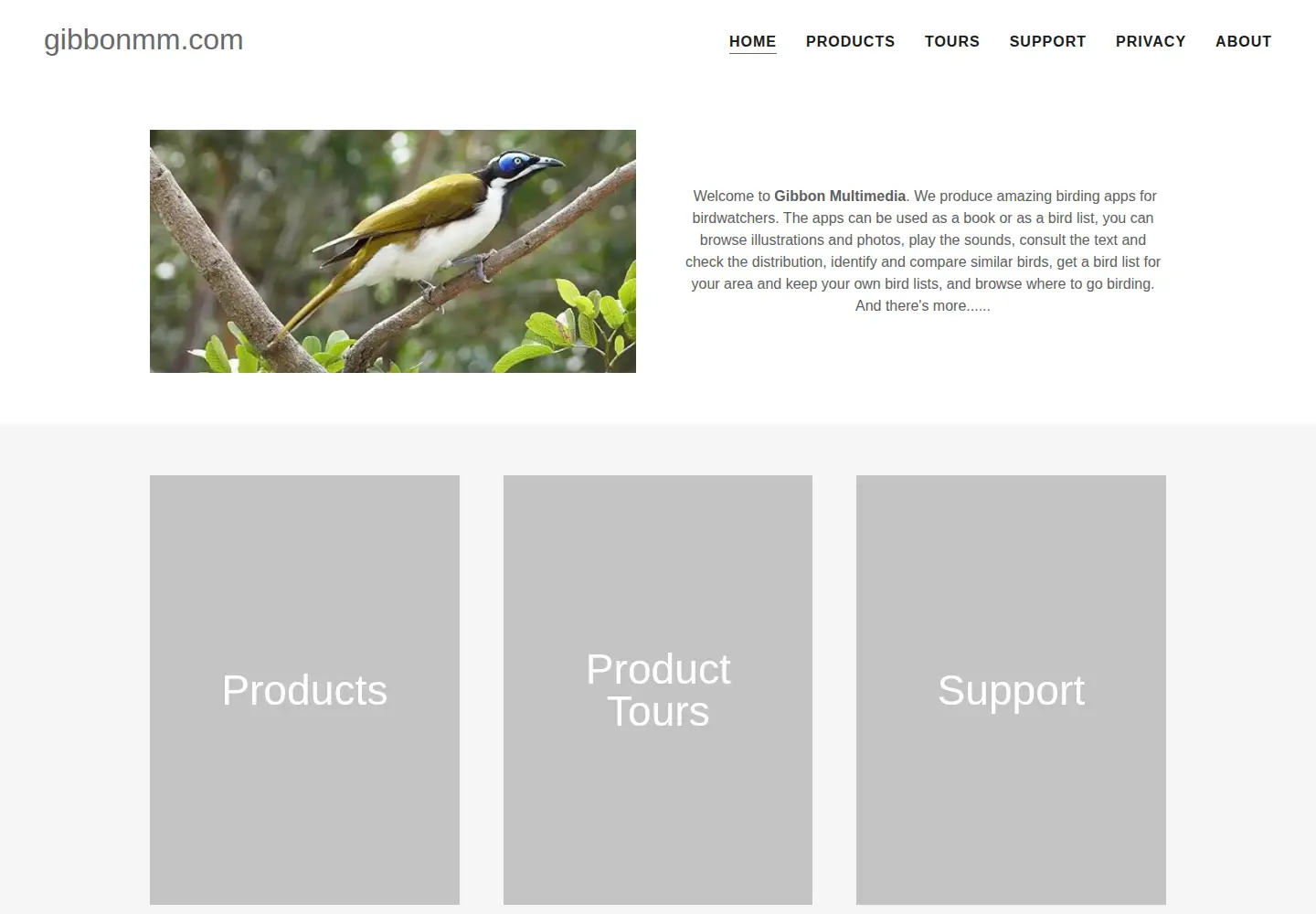 Captured homepage of gibbonmm.com in the current scan