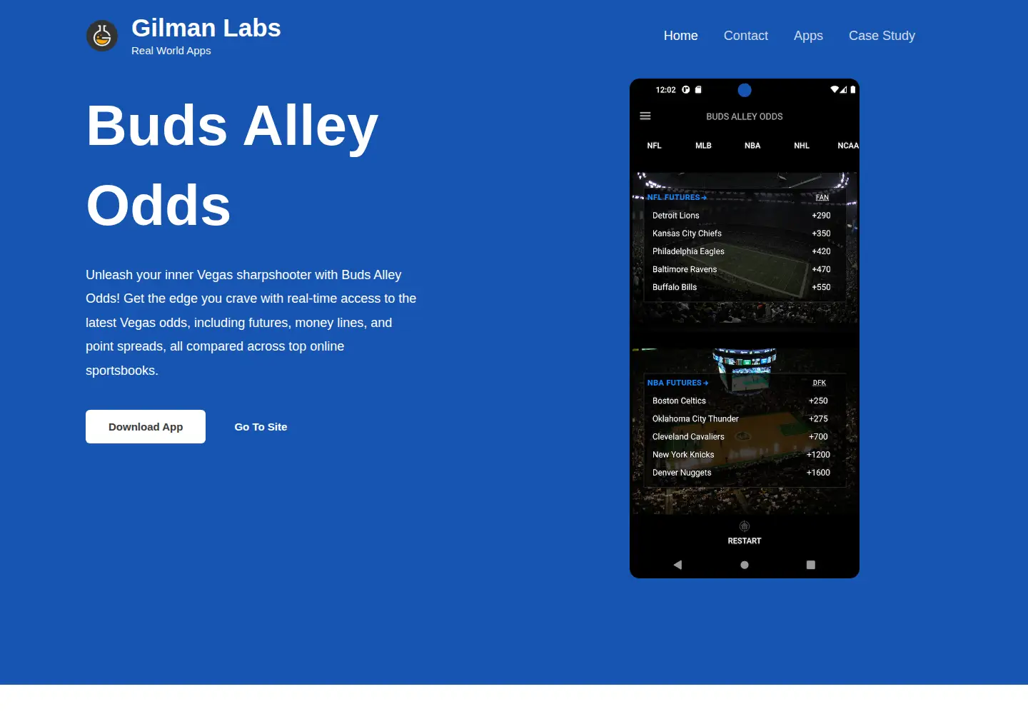 Captured homepage of gilmanlabs.com in the current scan