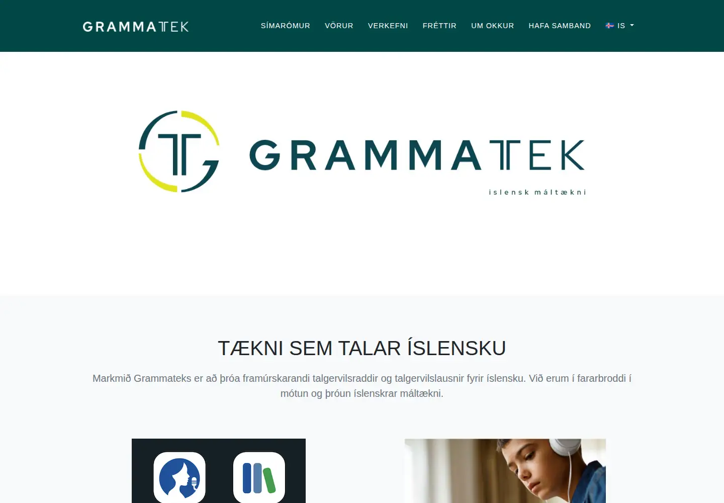 Captured homepage of grammatek.com in the current scan
