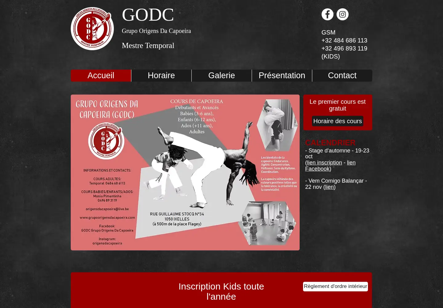 Captured homepage of grupoorigensdacapoeira.com in the current scan