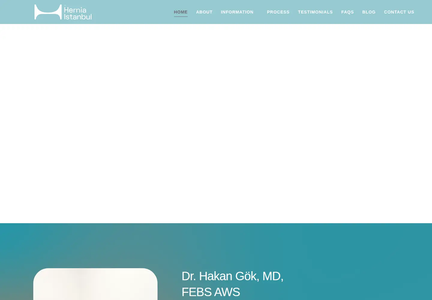 Screenshot of herniaistanbul.com