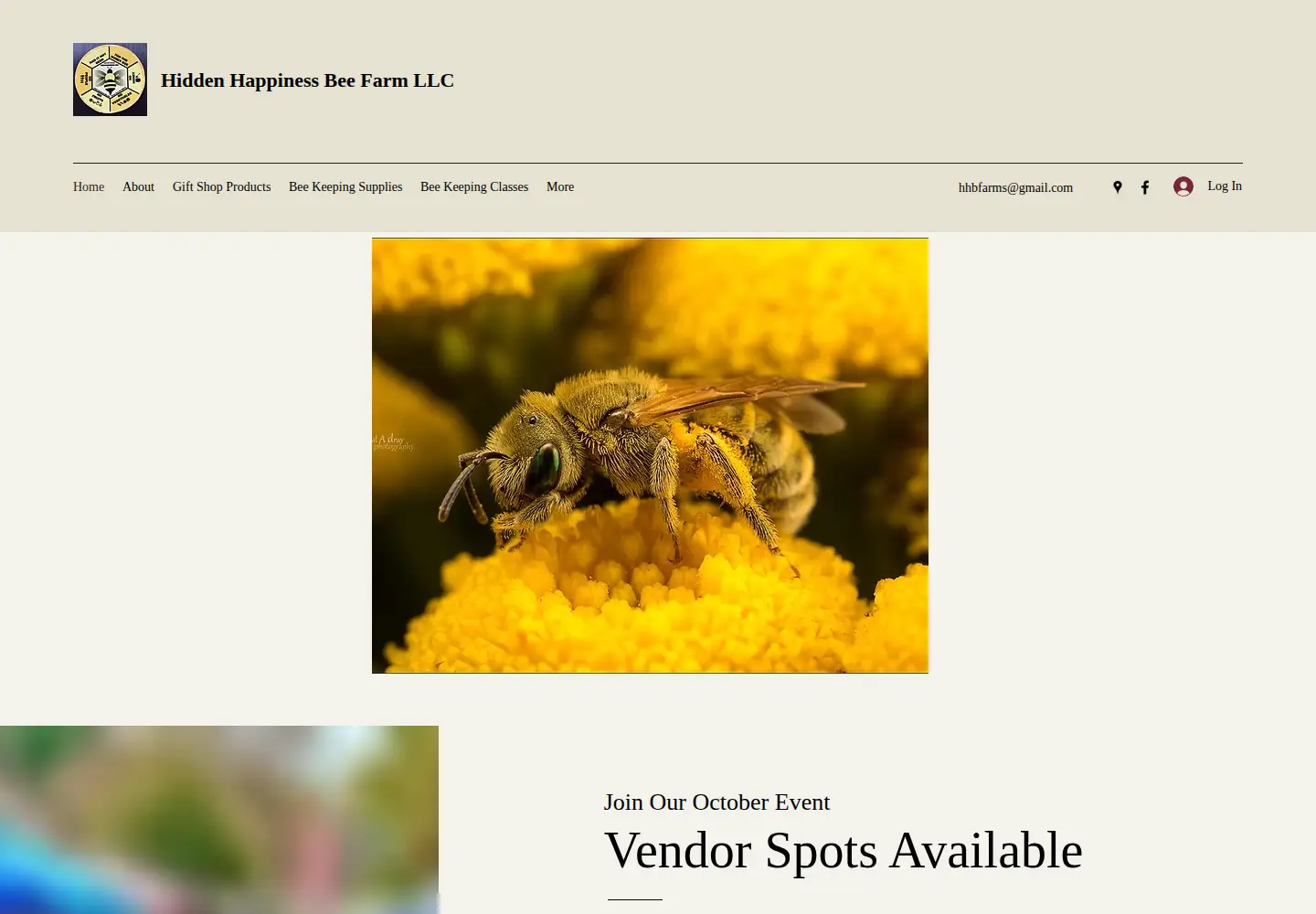 Screenshot of hiddenhappinessbeefarm.com
