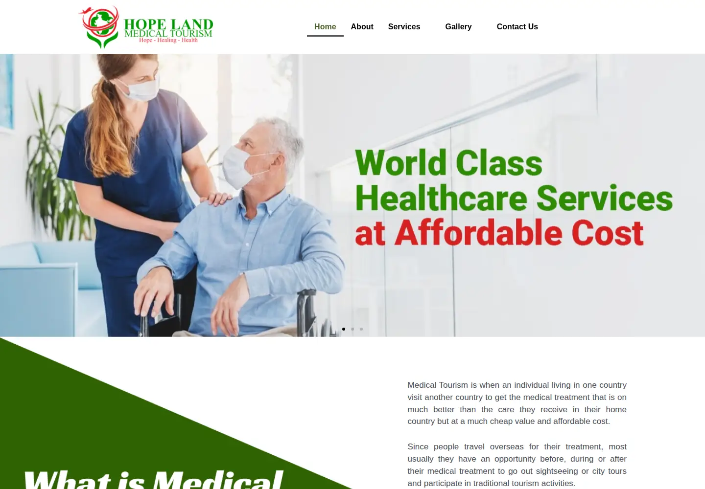 Screenshot of hopelandmedicaltourism.com