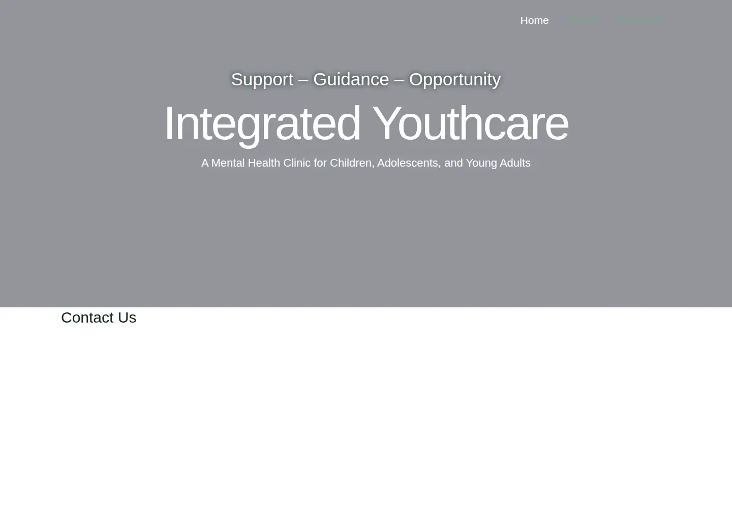 Captured homepage of integratedyouthcare.com in the current scan