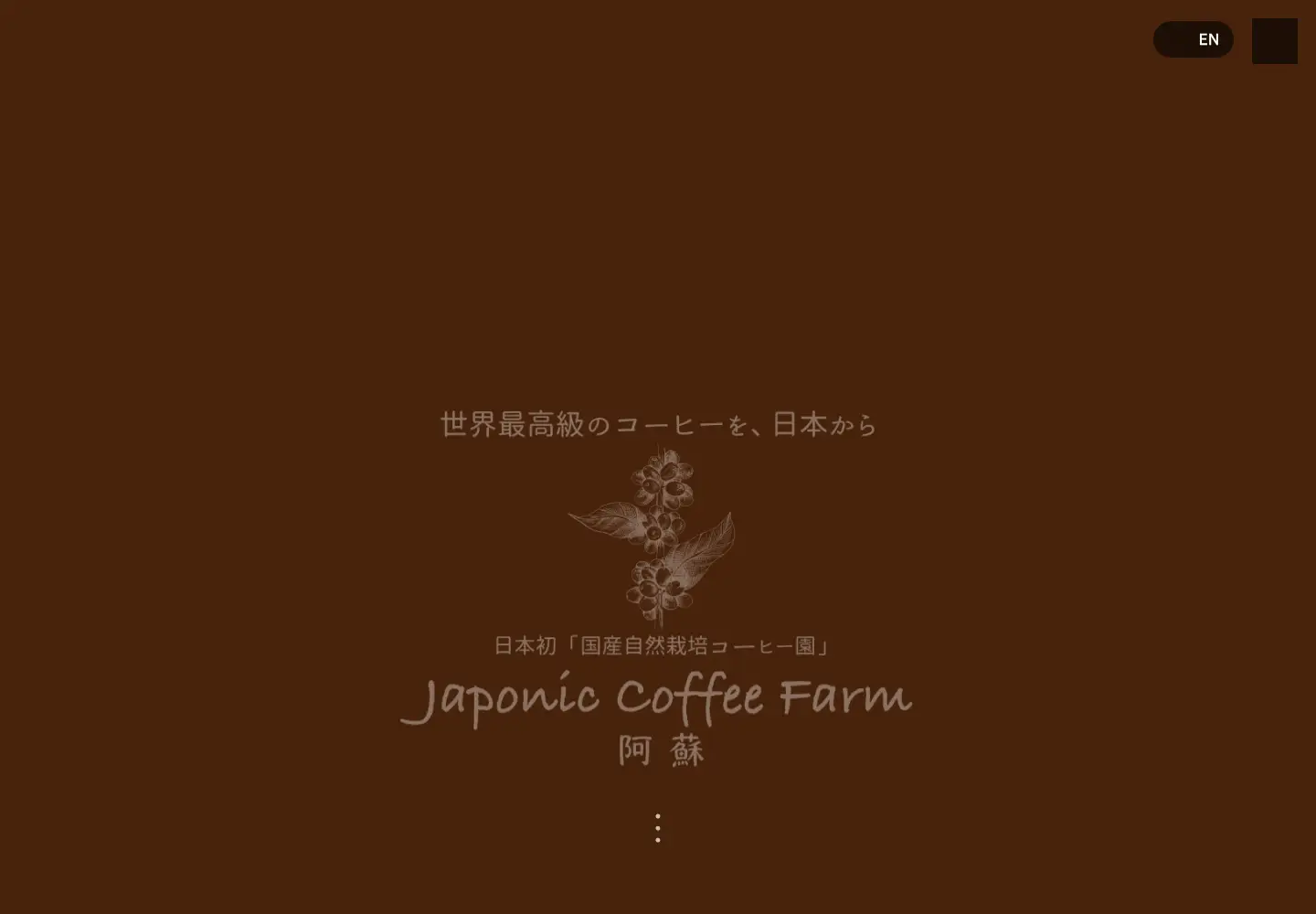 Captured homepage of japonic-coffee.com in the current scan