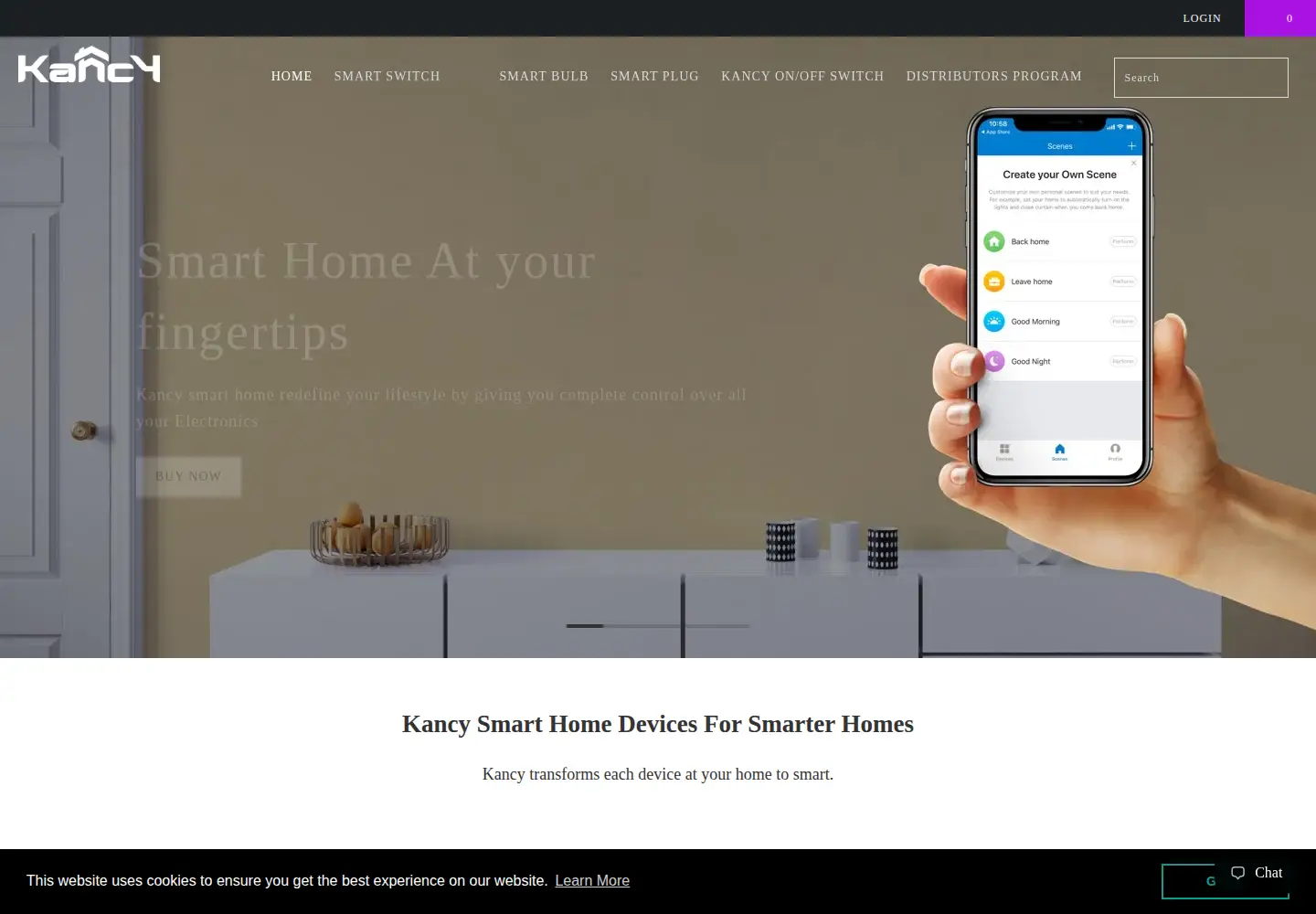 Captured homepage of kancy.com in the current scan