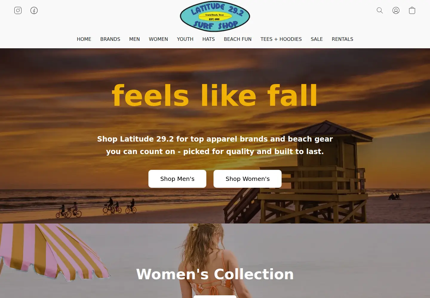 Captured homepage of latitude29surfshop.com in the current scan