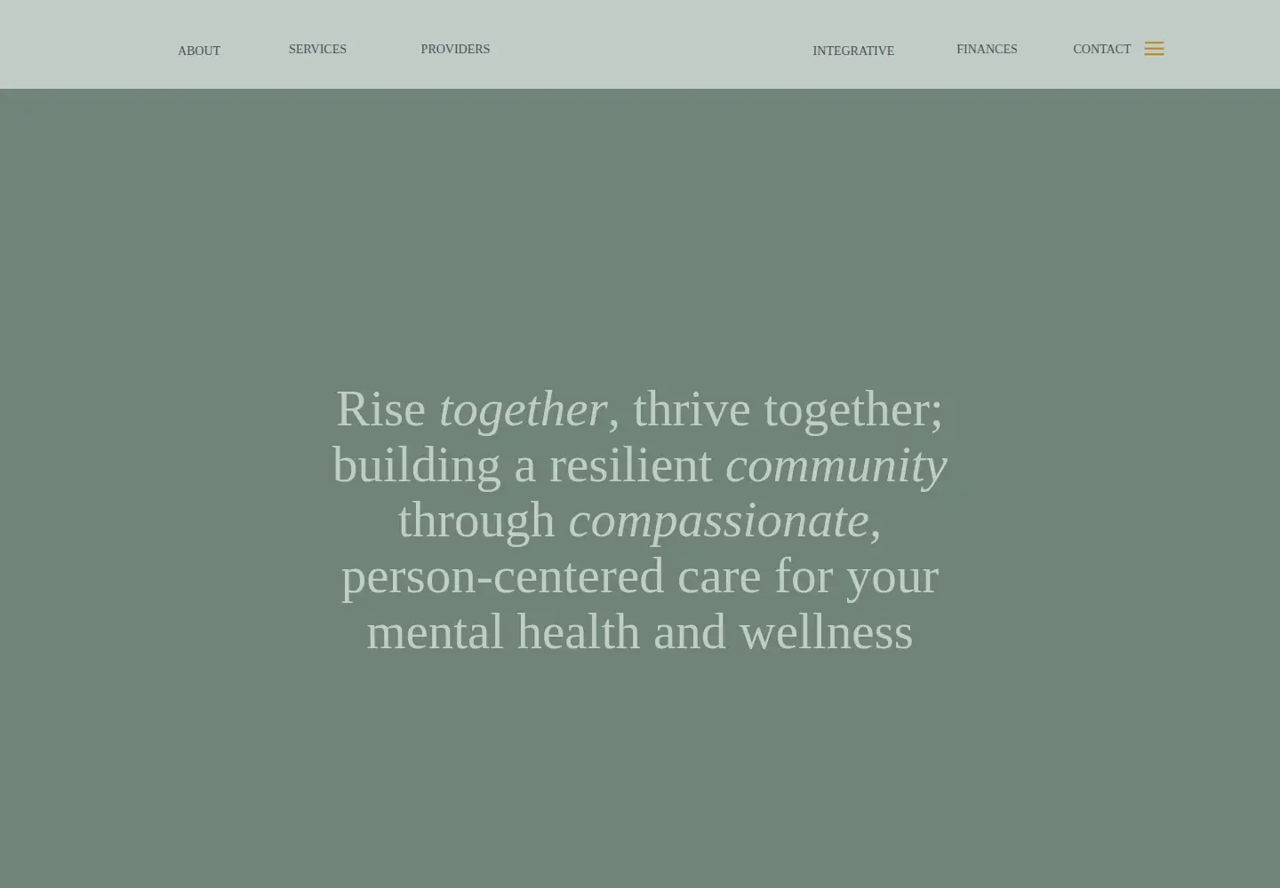 Screenshot of lowerbuckswellness.com