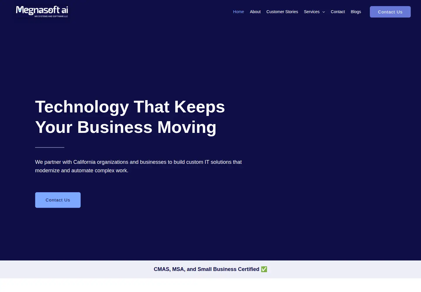 Screenshot of megnasoft.com
