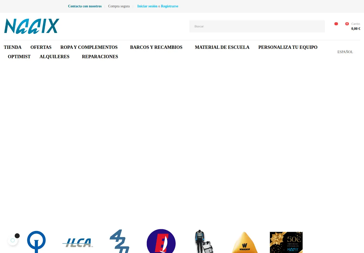 Captured homepage of naaix.com in the current scan