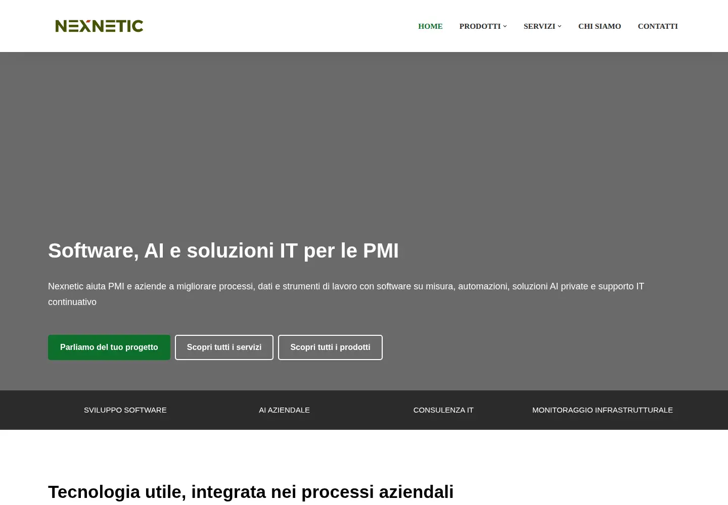 Captured homepage of nexnetic.com in the current scan
