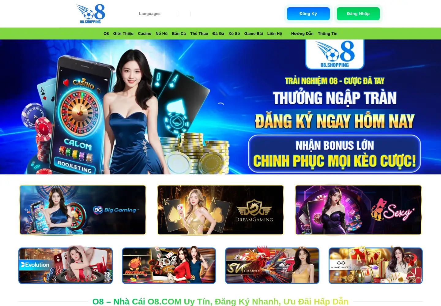 Captured homepage of o8net3.com in the current scan