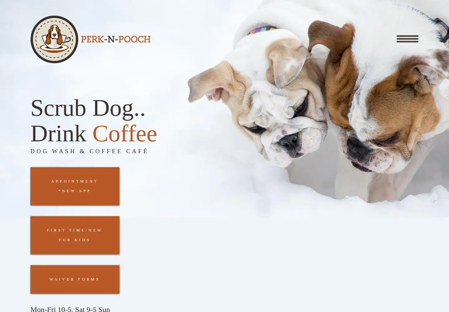 Captured homepage of perk-n-pooch.com in the current scan