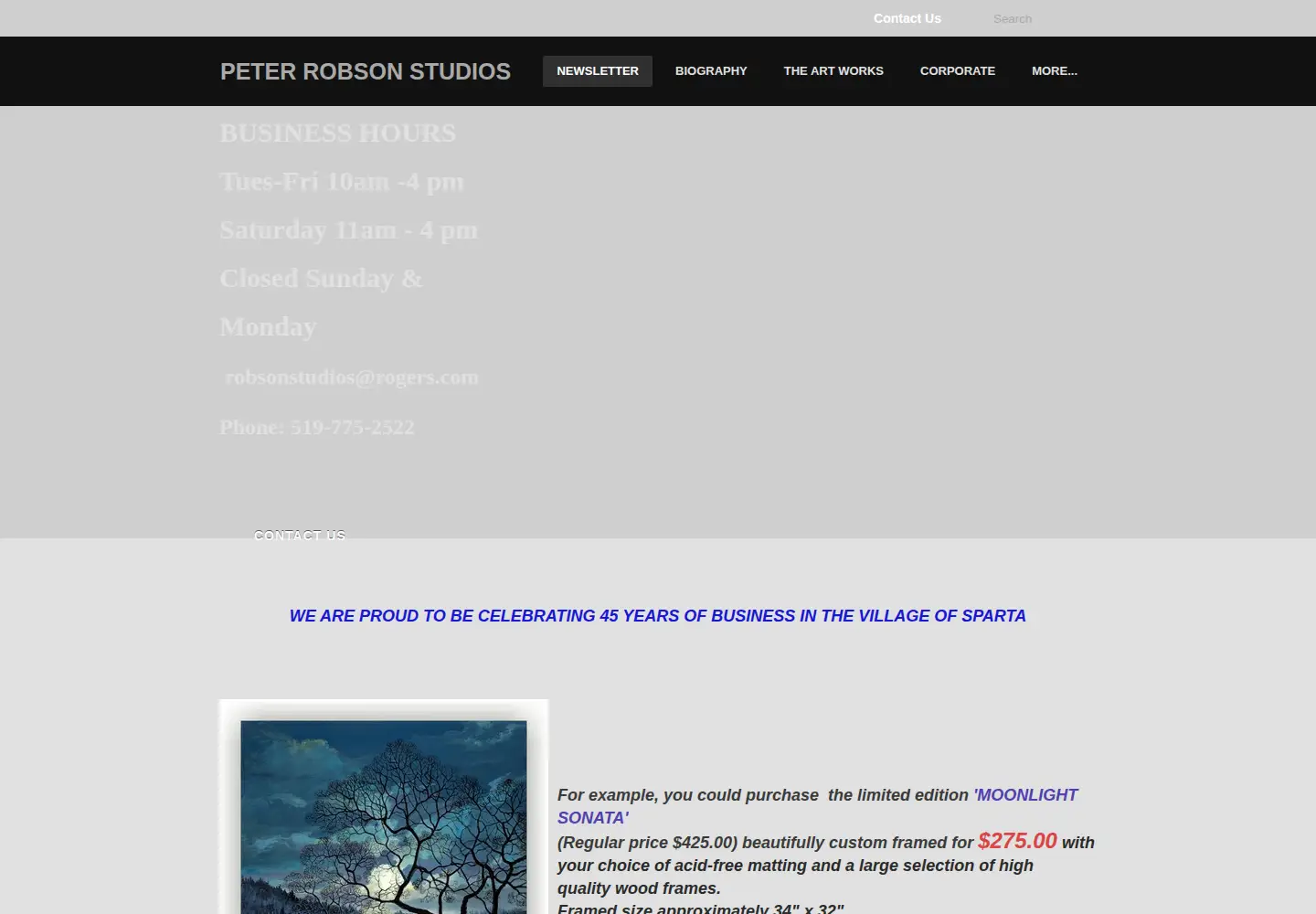 Screenshot of peterrobsonstudios.com