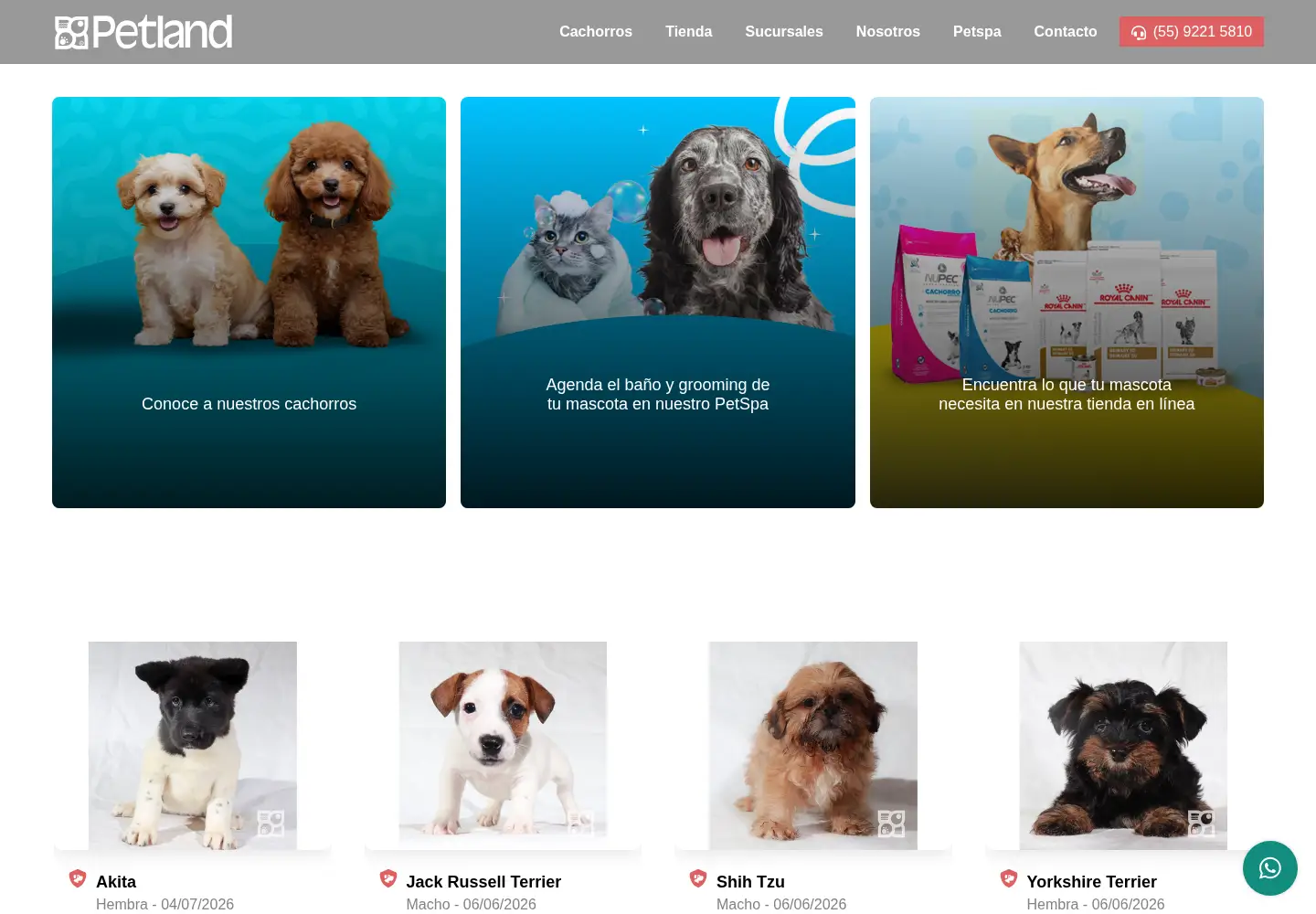 Screenshot of petlandmexico.com