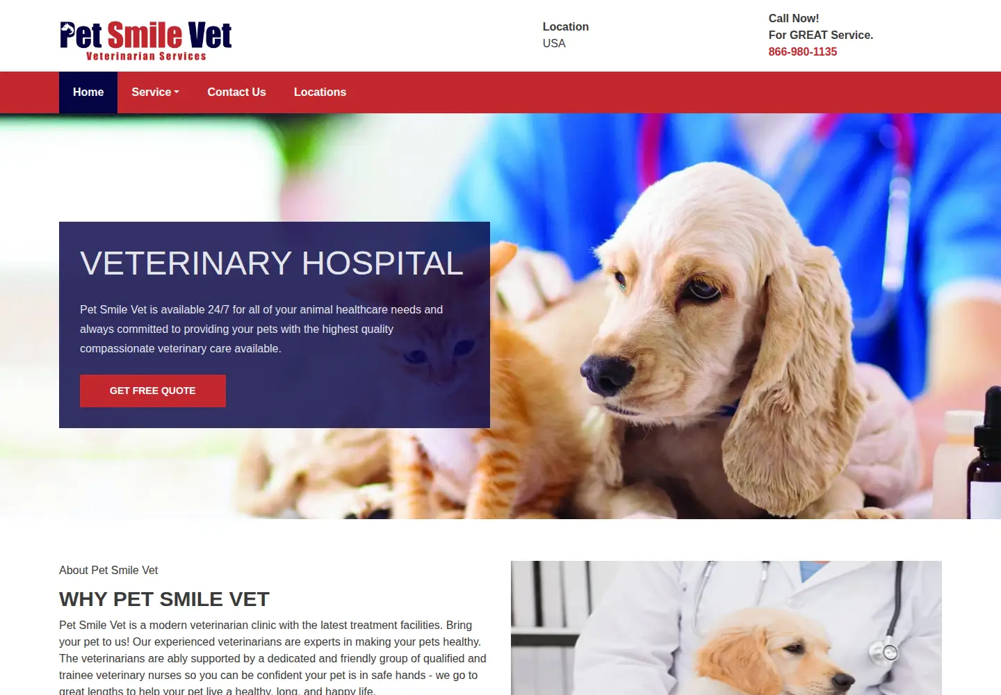 Captured homepage of petsmilevet.com in the current scan