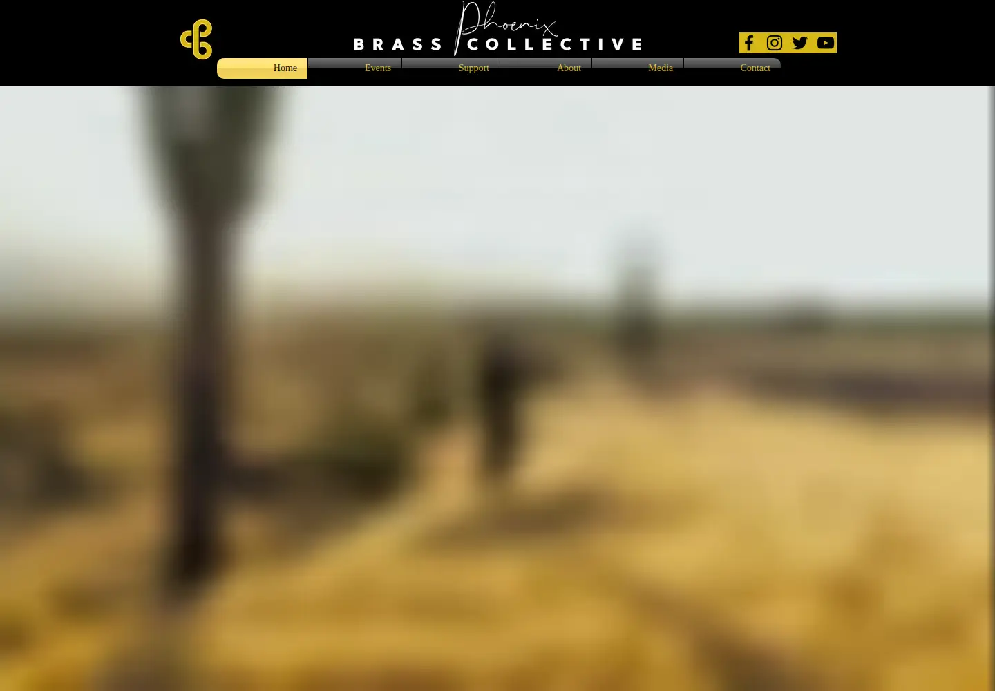 Captured homepage of phxbrass.com in the current scan