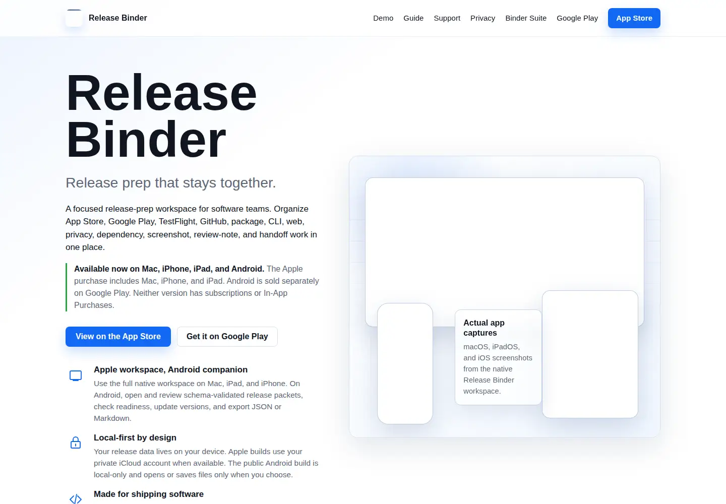 Captured homepage of releasebinder.com in the current scan