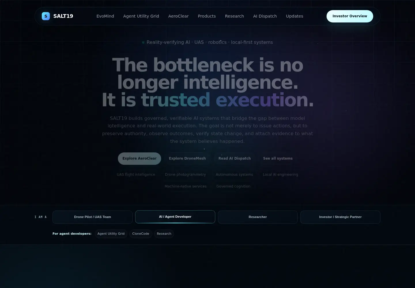 Screenshot of salt19.com