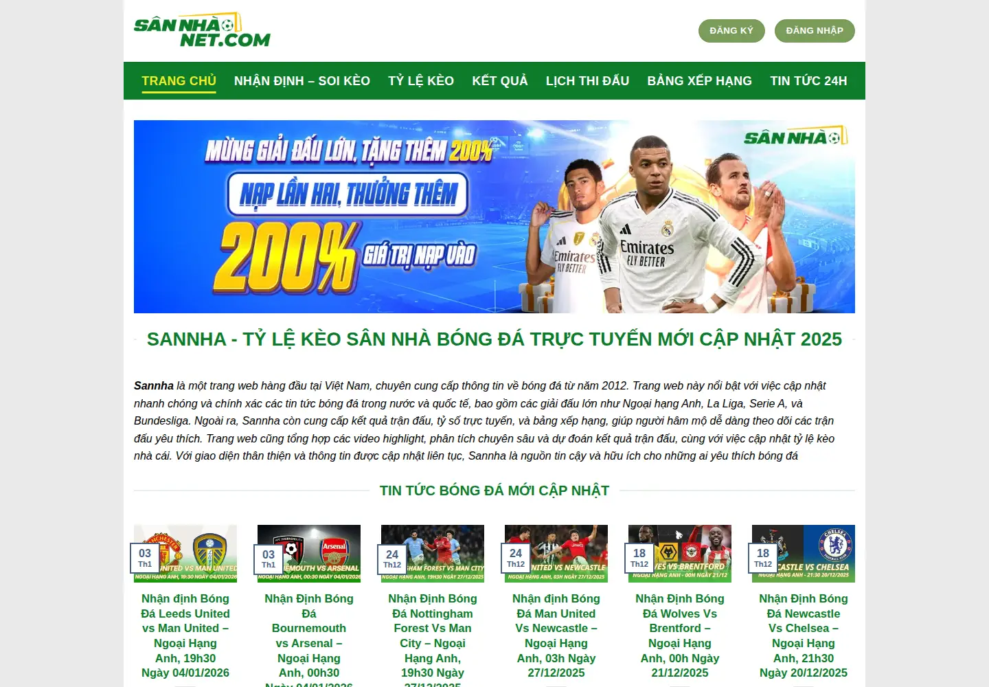 Captured homepage of sannhanet.com in the current scan