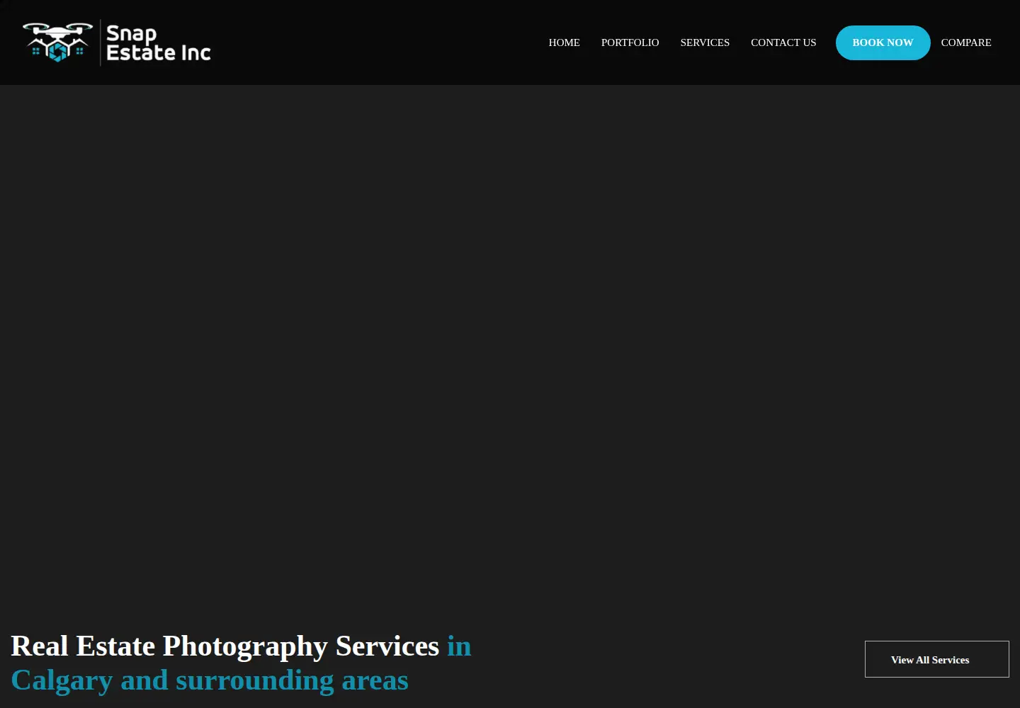 Captured homepage of snapestateinc.com in the current scan