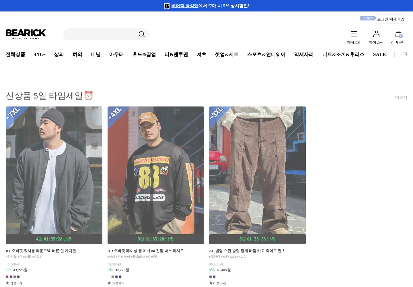 Captured homepage of bearick.co.kr in the current scan