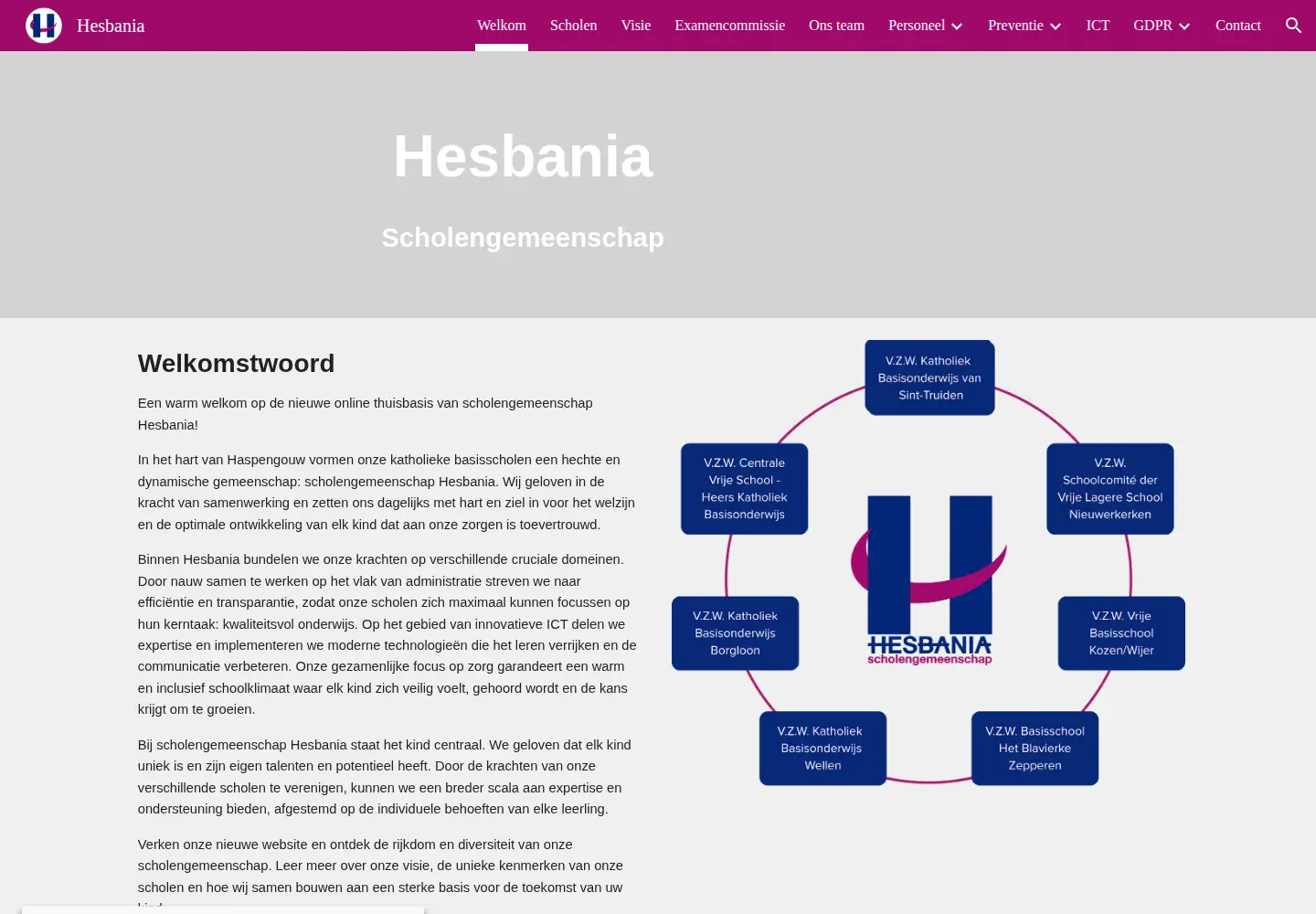 Screenshot of hesbania.net
