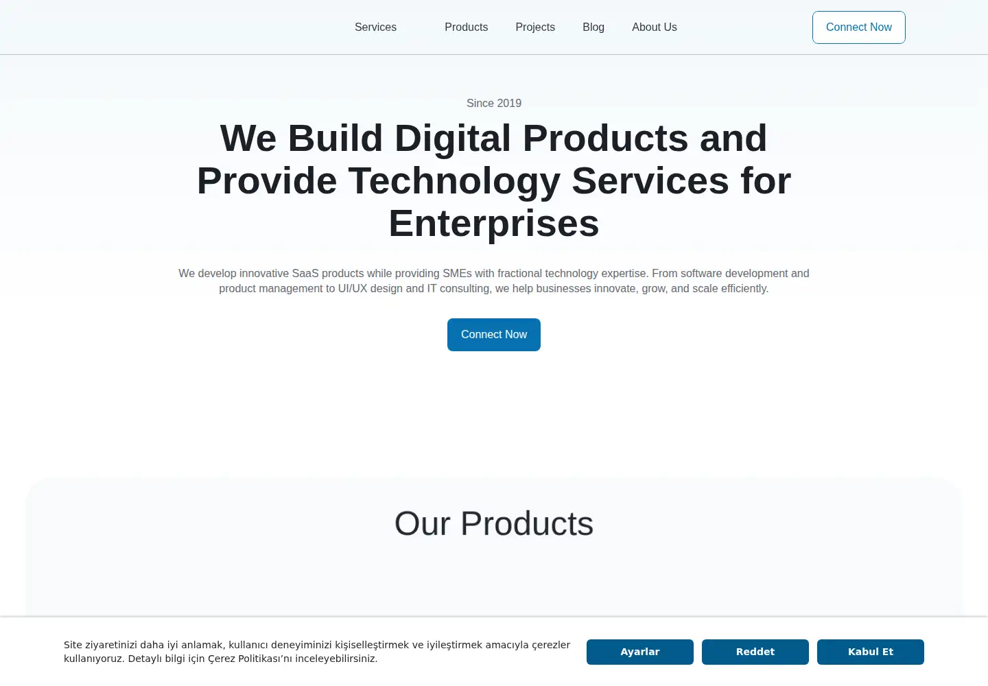 Captured homepage of hipposoft.net in the current scan