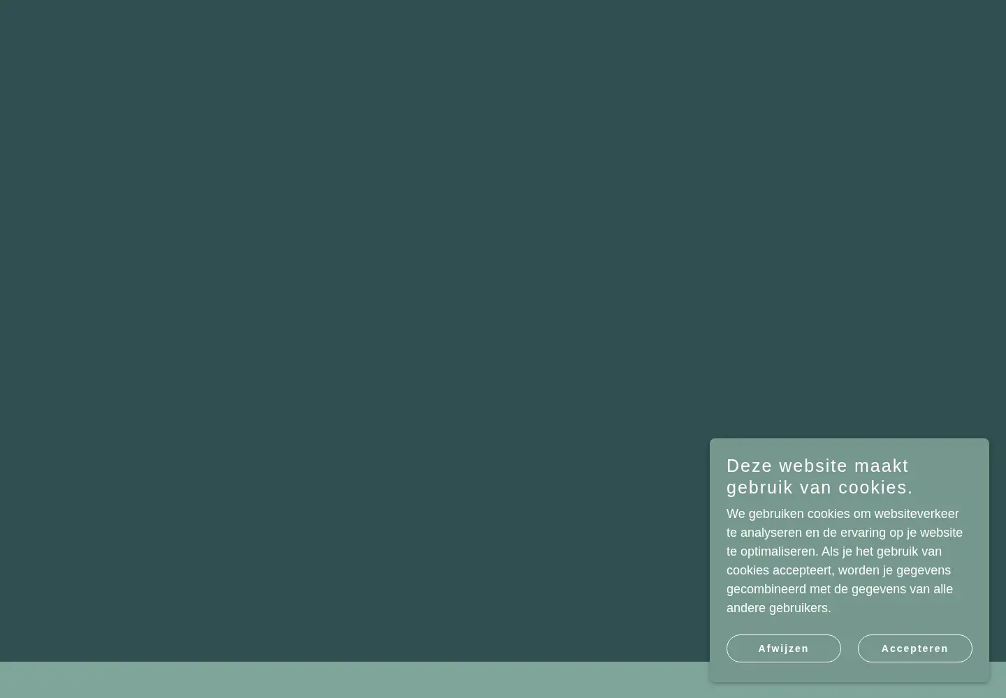 Captured homepage of femkeijlstra.nl in the current scan