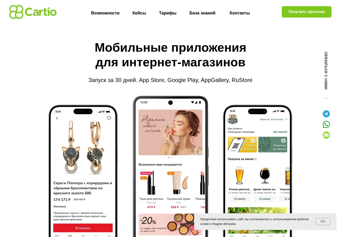Captured homepage of cartio.online in the current scan