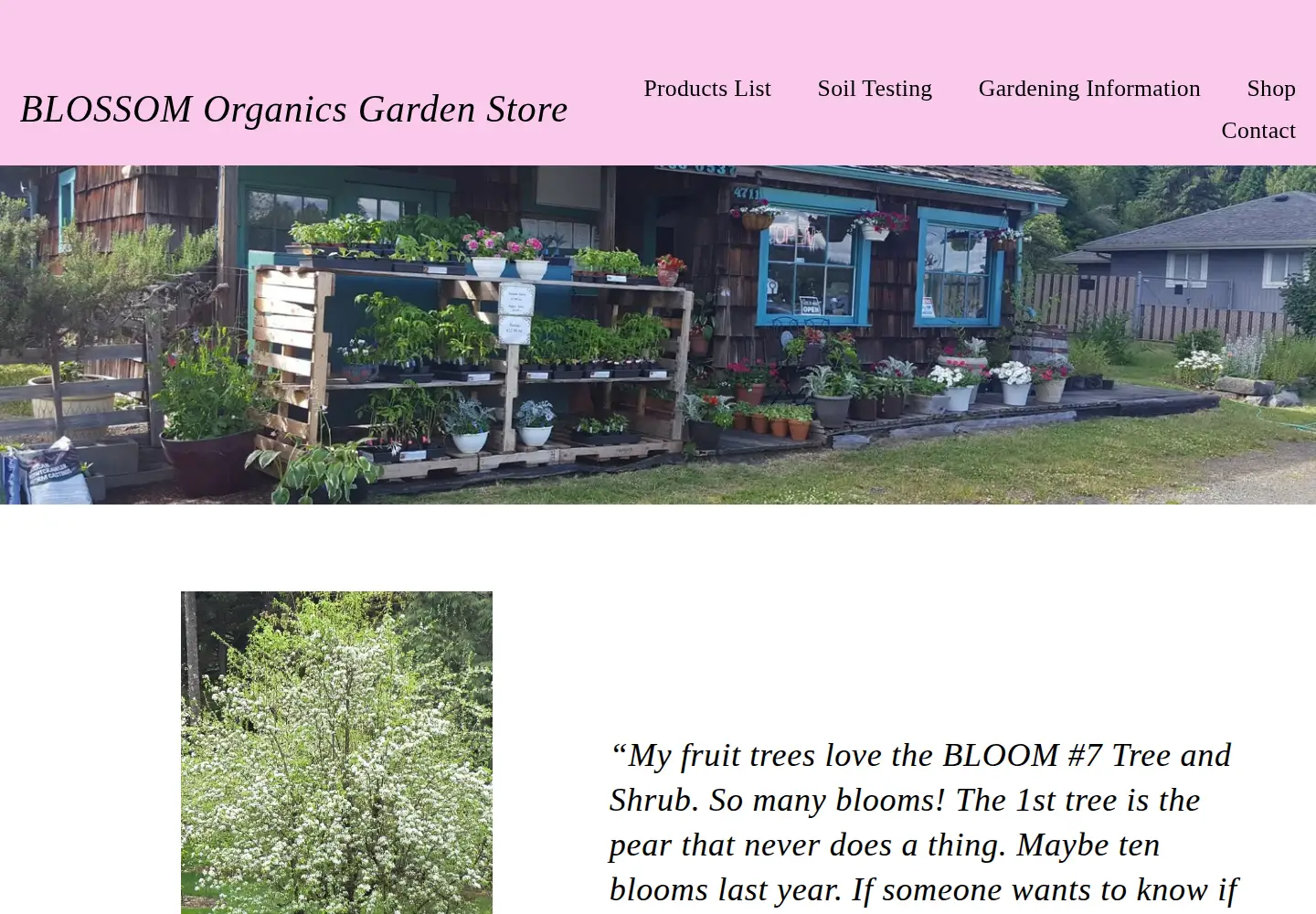 Captured homepage of blossomera.org in the current scan