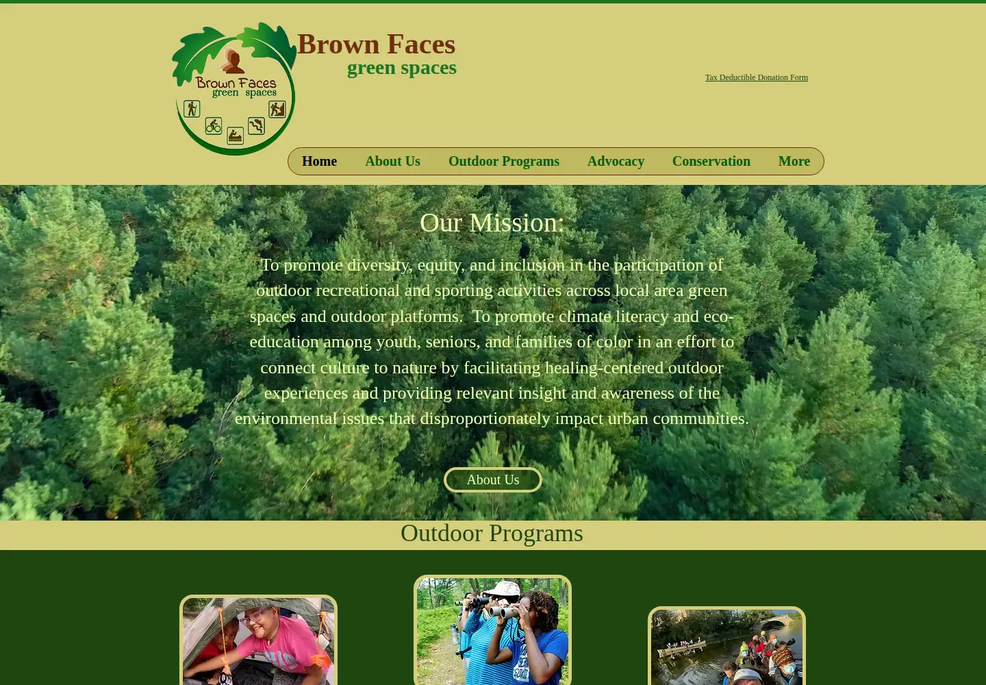 Screenshot of brownfacesgreenspaces.org