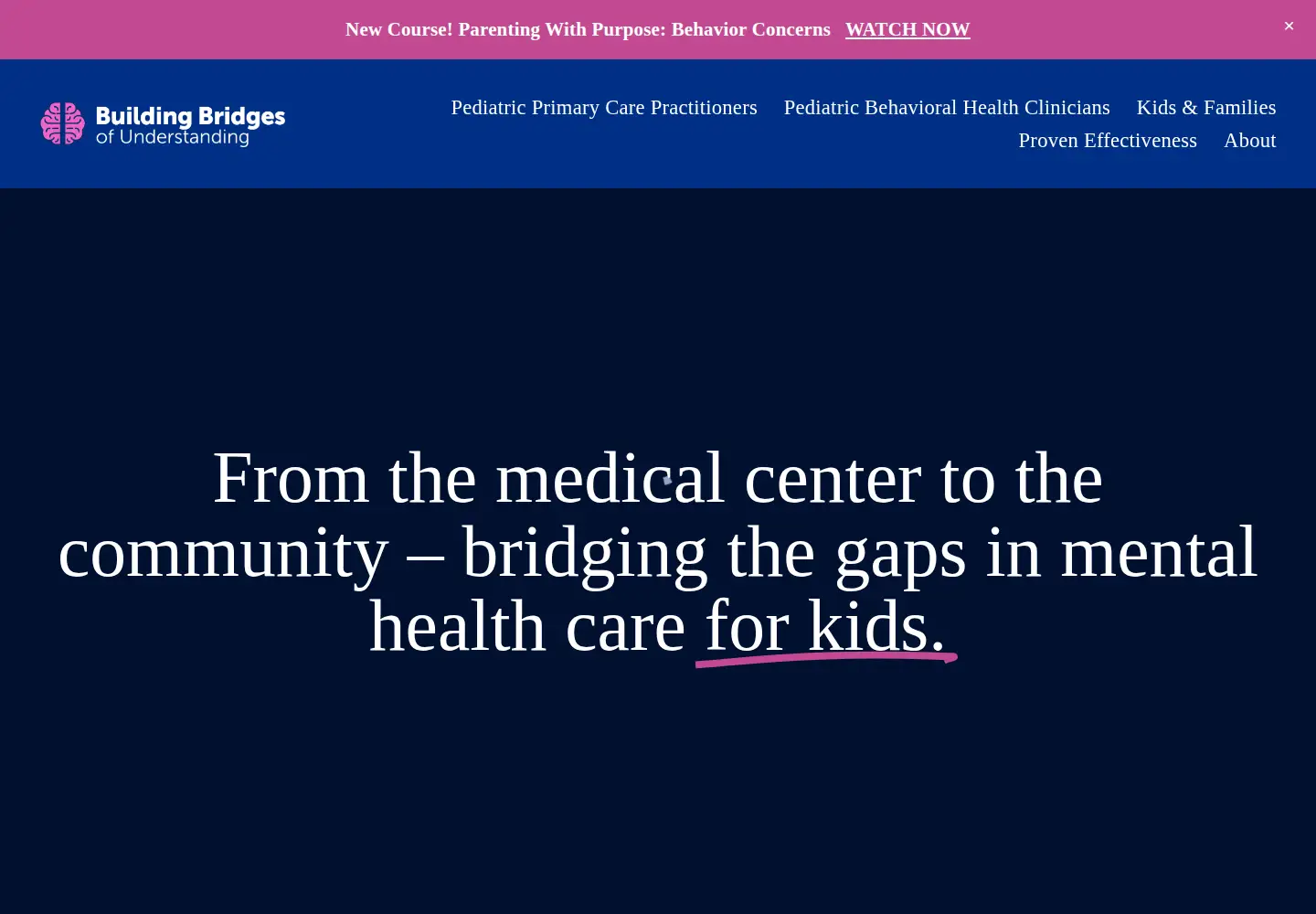 Screenshot of buildingbridgesofunderstanding.org