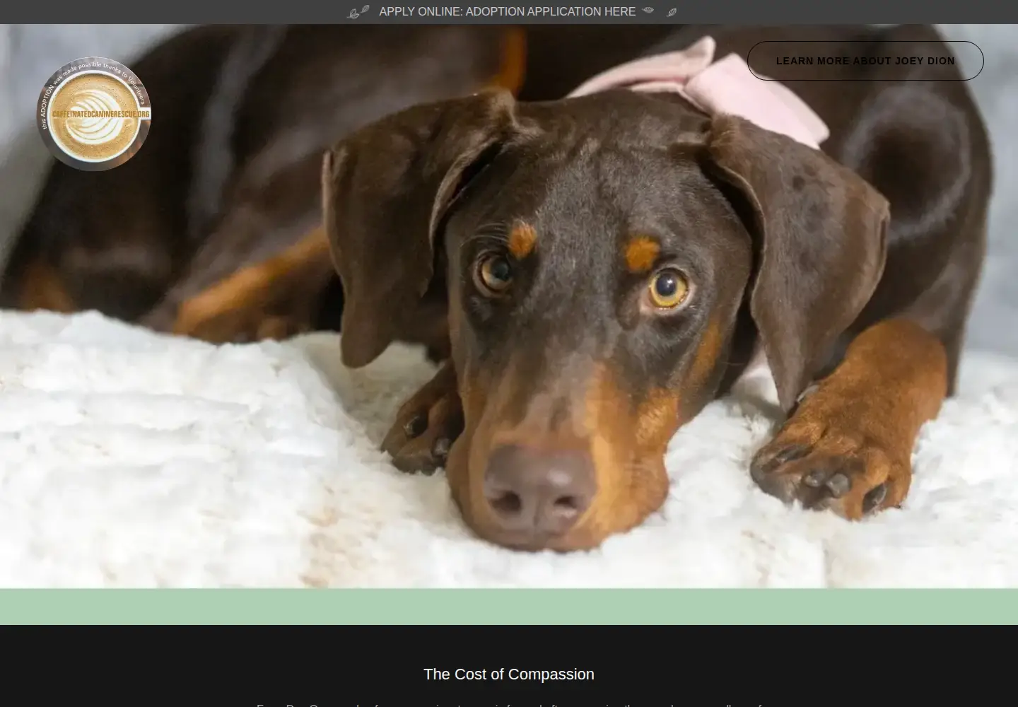 Captured homepage of caffeinatedcaninerescue.org in the current scan