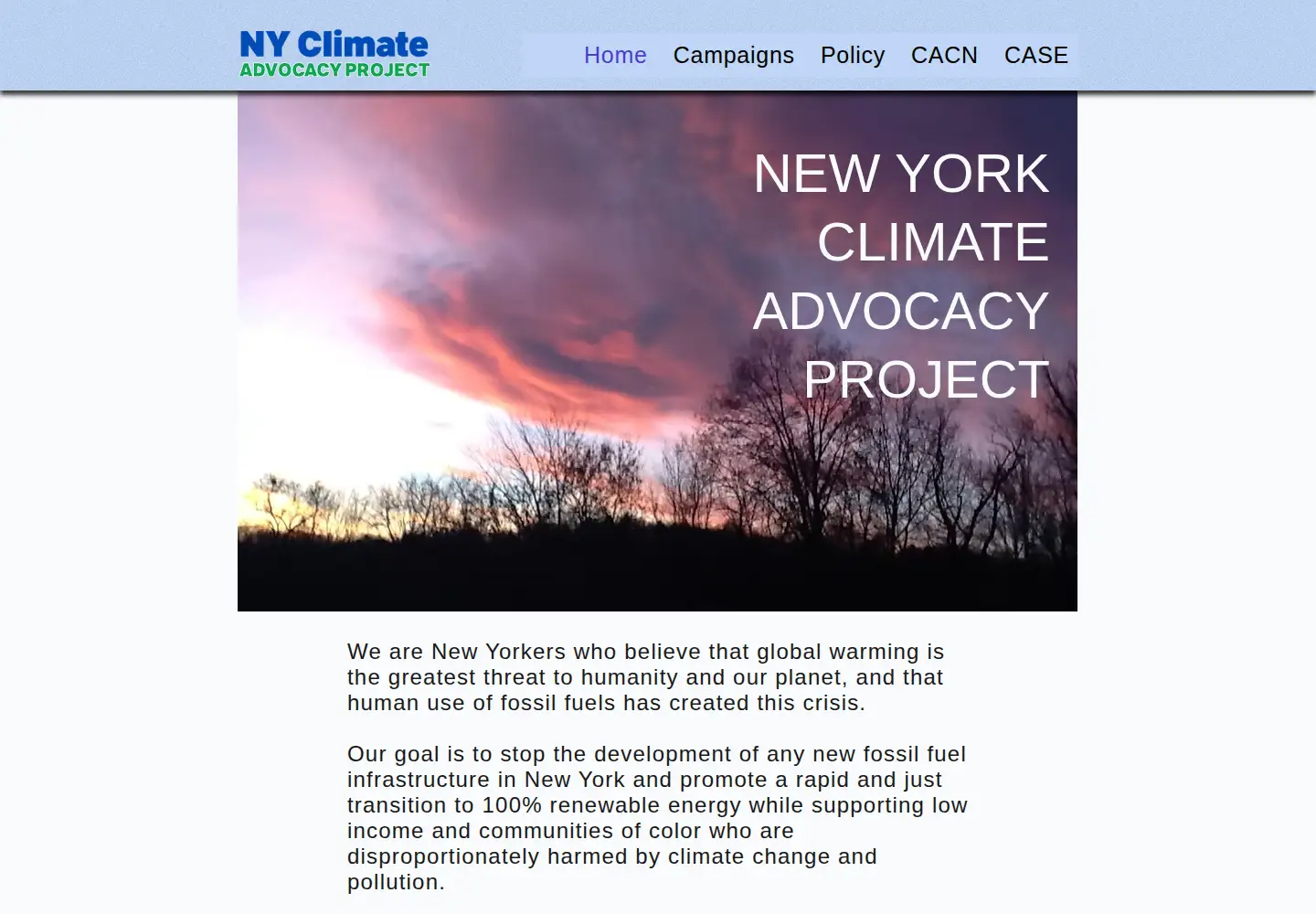 Screenshot of caseonline.org