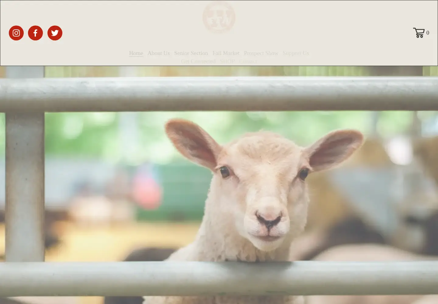 Captured homepage of cywoodsffa.org in the current scan