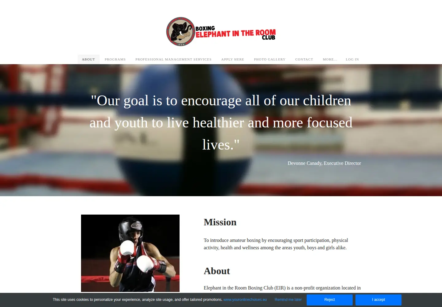Captured homepage of eirboxing.org in the current scan