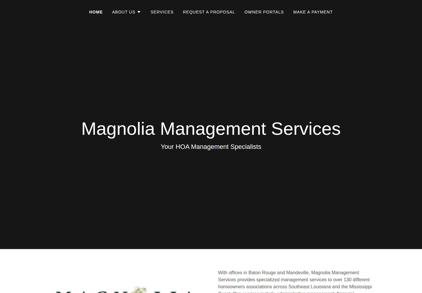 Captured homepage of magnoliabr.org in the current scan