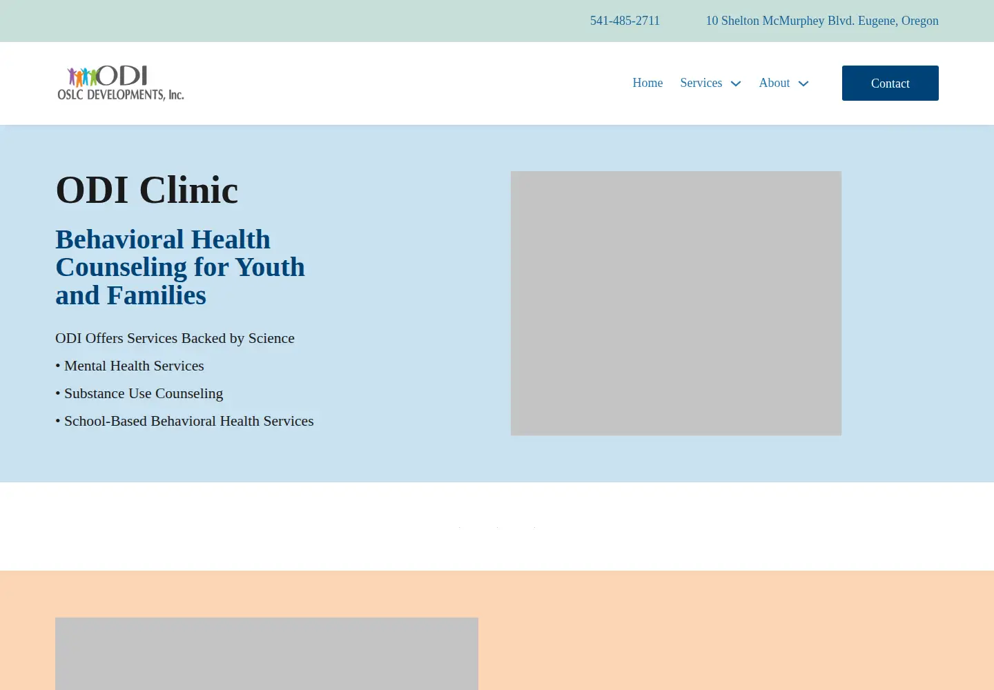 Captured homepage of odiclinic.org in the current scan