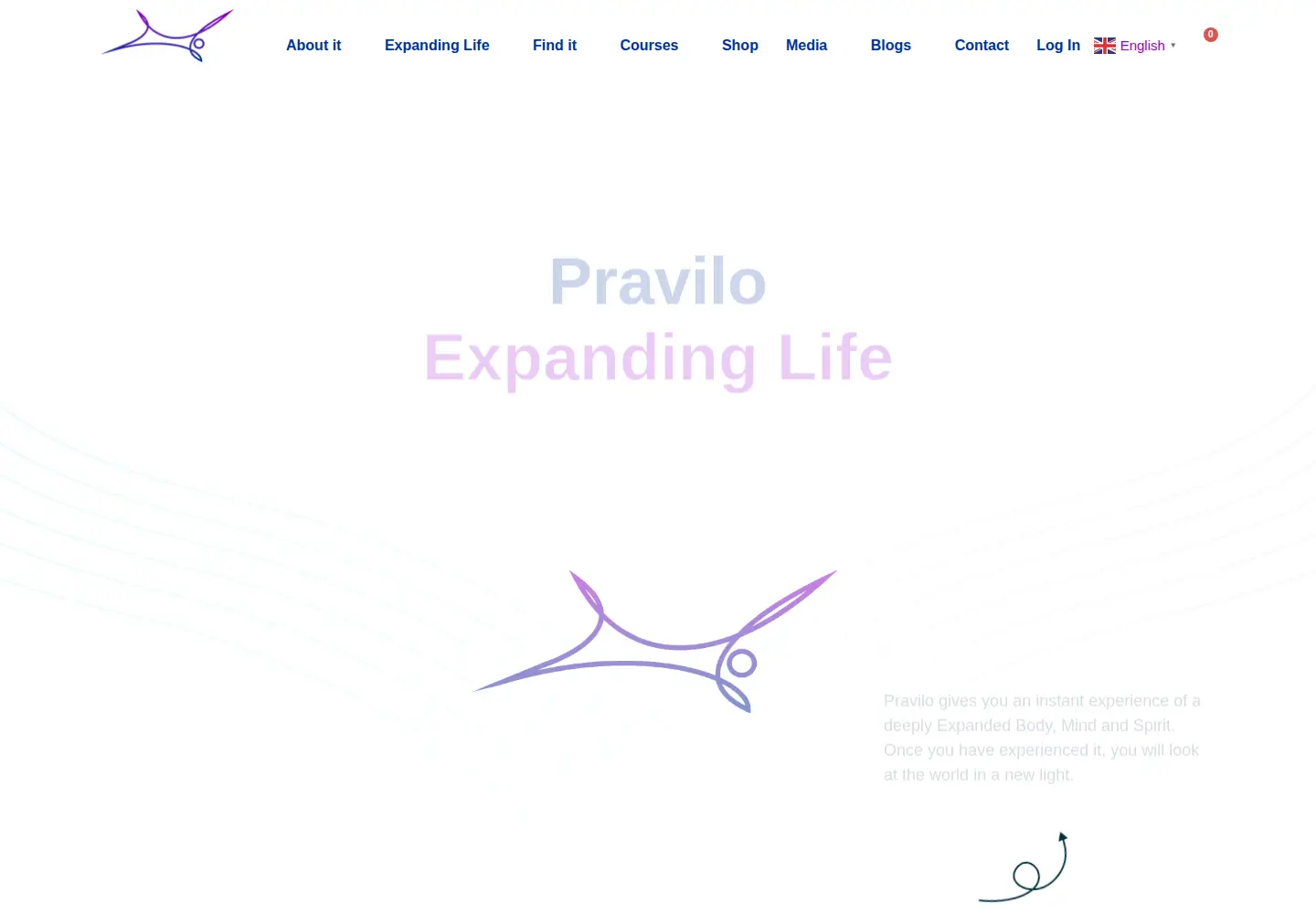 Captured homepage of pravilo.org in the current scan
