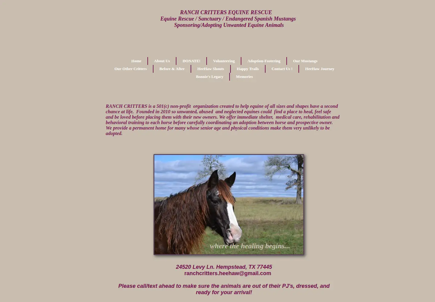 Captured homepage of ranchcritters.org in the current scan