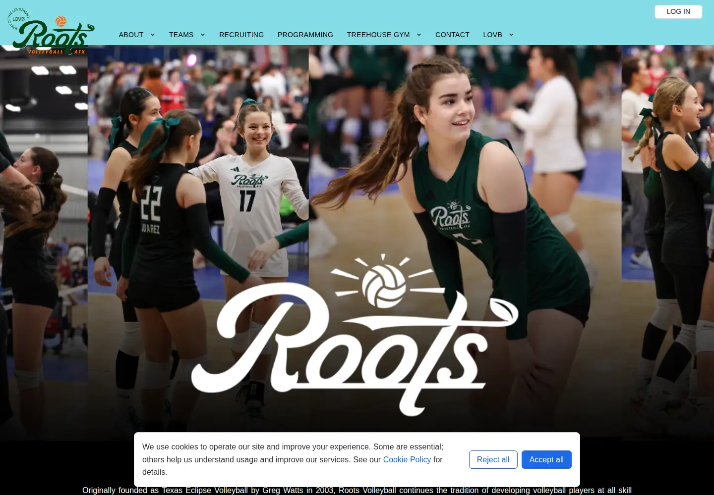 Screenshot of rootsvb.org