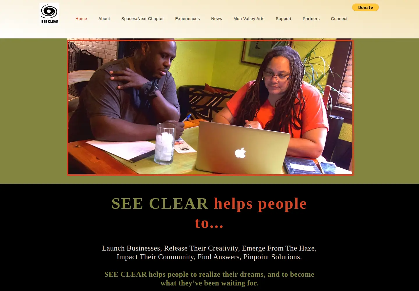 Captured homepage of seeclear.org in the current scan