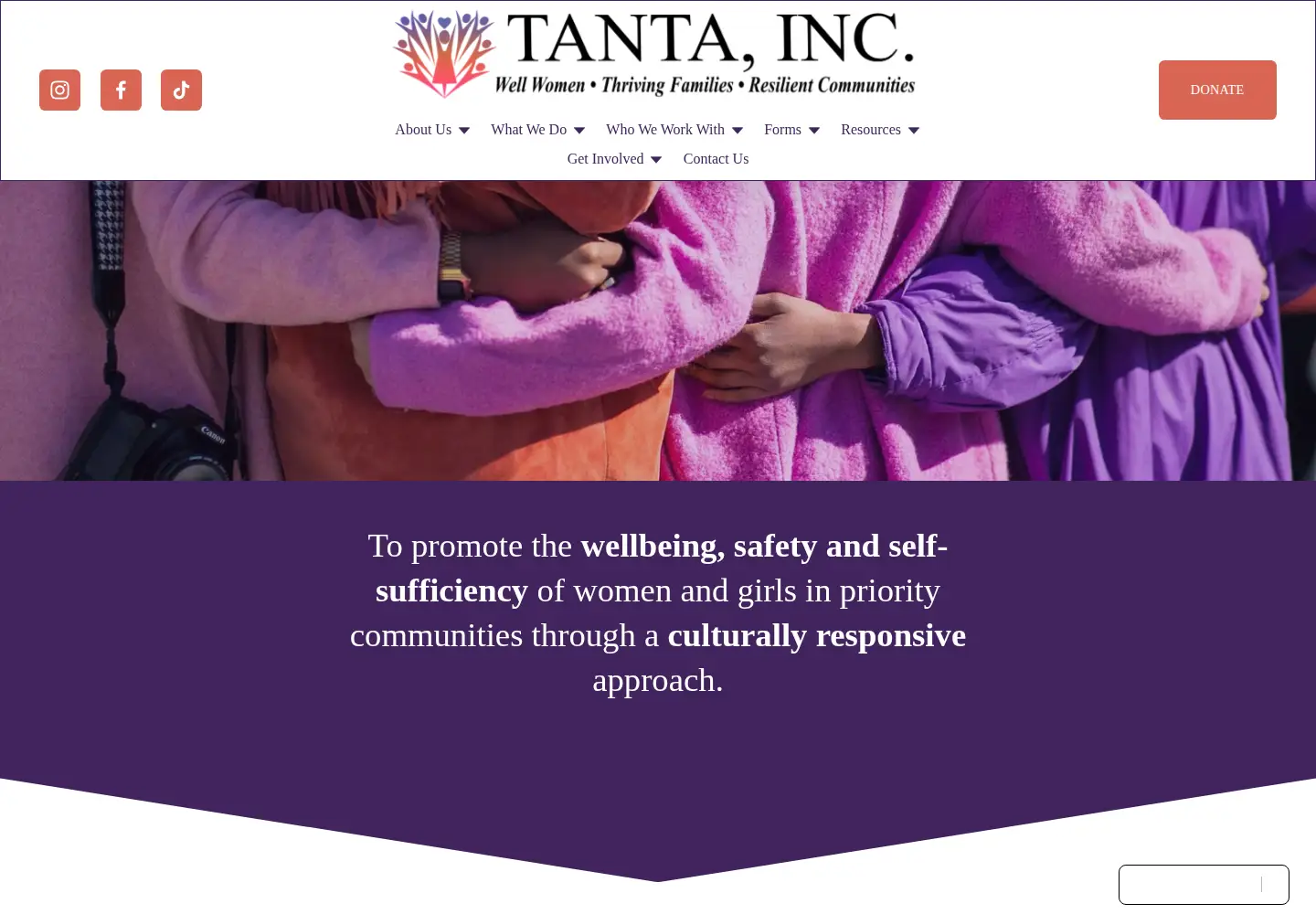 Captured homepage of tantainc.org in the current scan