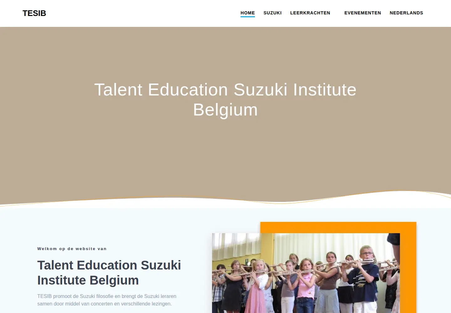 Screenshot of tesib.org
