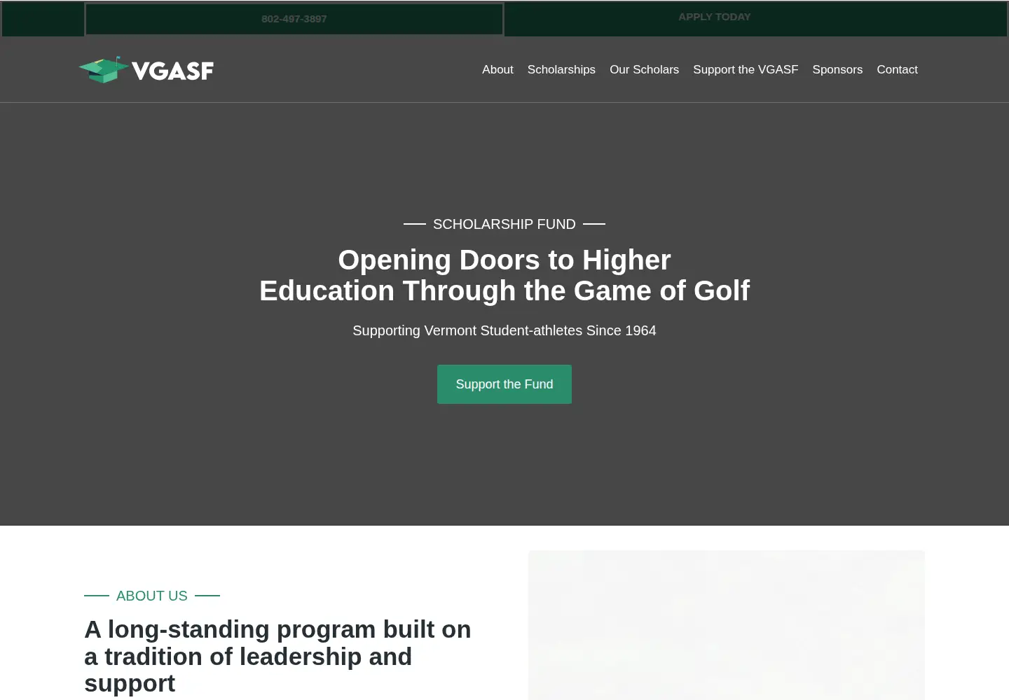 Screenshot of vgasf.org
