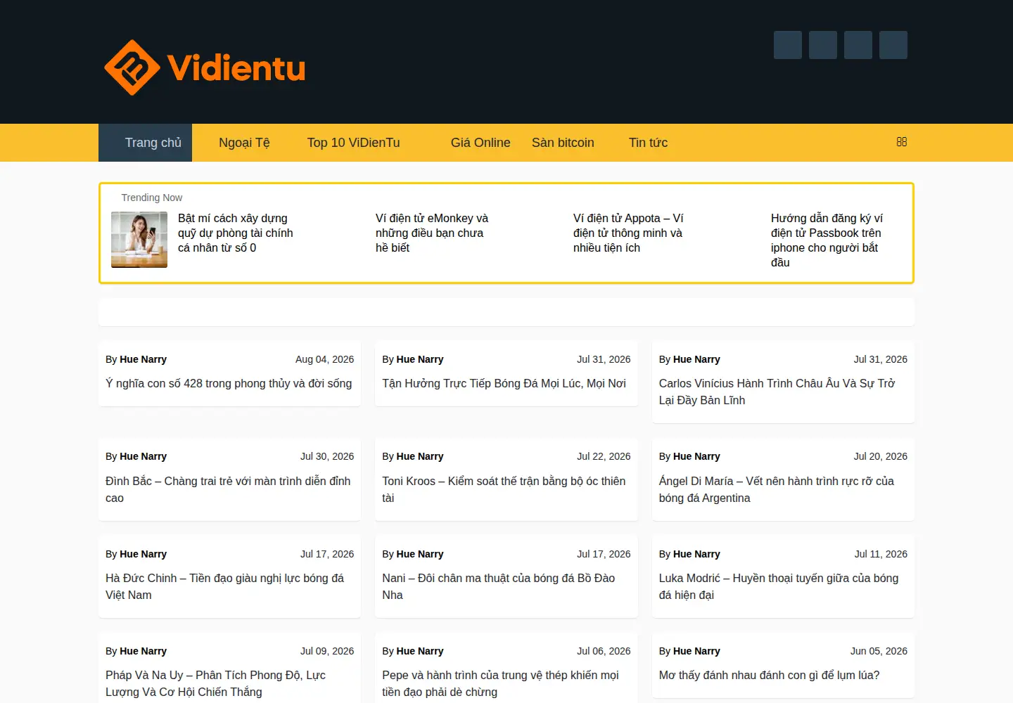 Captured homepage of vidientu.org in the current scan